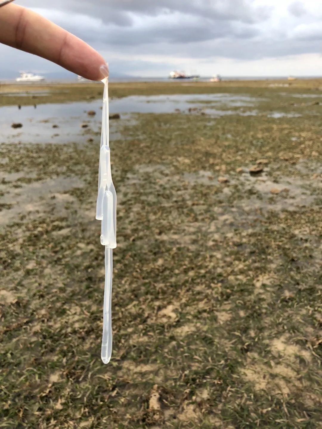 鎺㈢娴锋磱姘存瘝绉戞櫘,娼滄按鍛樻捣搴曟帰闄╀笉鏂欐児鎬掑ぇ鐧介波