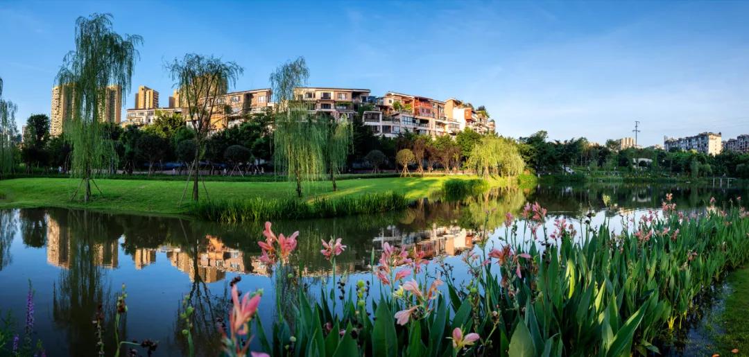 空港新城城区最新规划2025,全国发展最好的空港新城