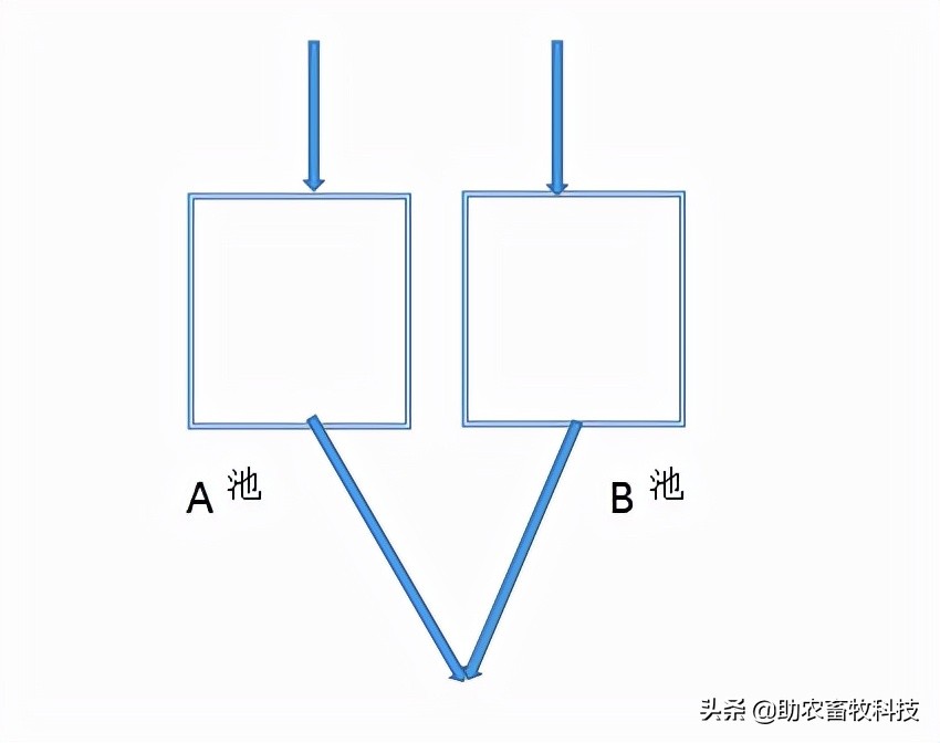 鱼塘水质差用什么改善水质,鱼塘流入养殖场废水如何处理