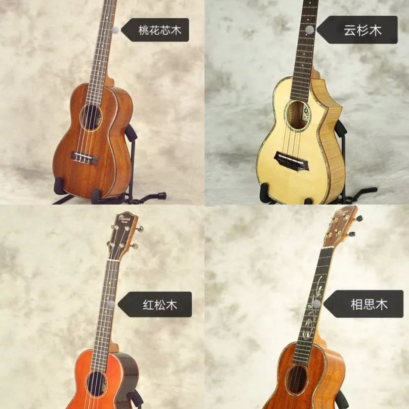 干货新人容易进的十大误区,尤克里里弹唱和指弹选购