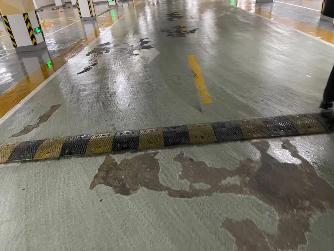 杭州六万人摇西溪公馆房价,万人摇的超级红盘西溪公馆