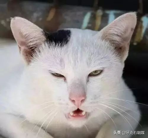 秋季预防过敏性鼻炎的方法,冬季鼻炎的日常防护措施