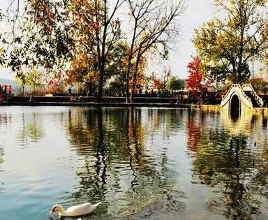 安徽八月份免费游玩的景点有哪些,安徽的名胜古迹和旅游景点有哪些