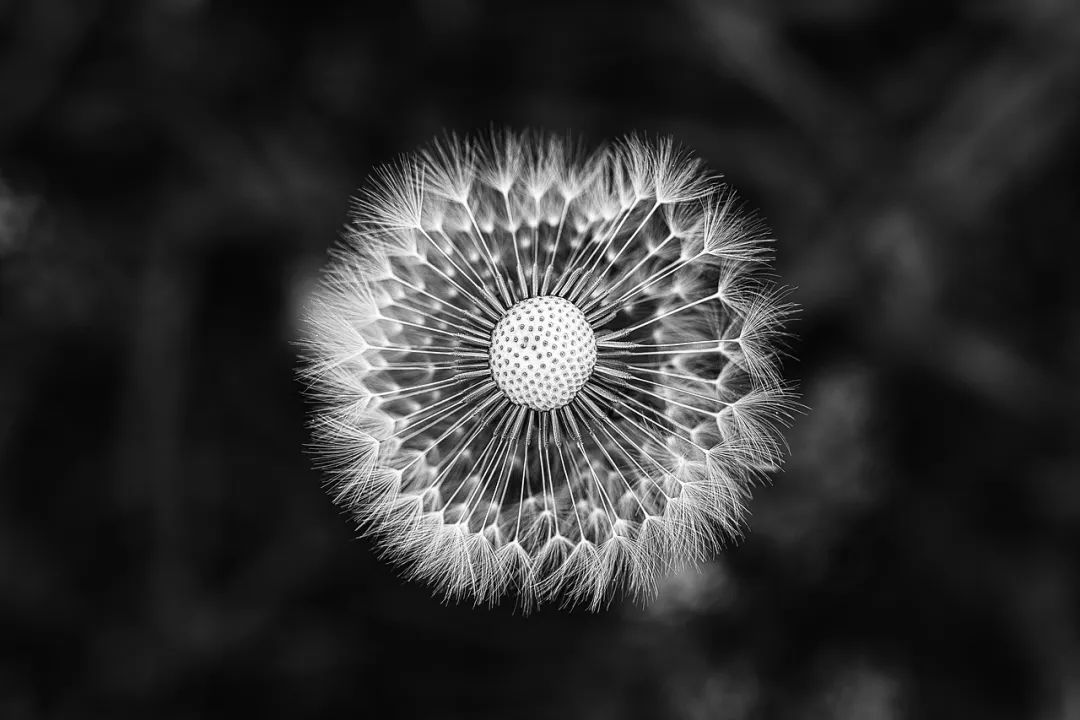 博时基金为何在支付宝无故扣钱,博时基金在中国的影响力