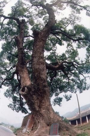 别人把你名字写错了该不该说,把别人名字念错了是不是不尊重