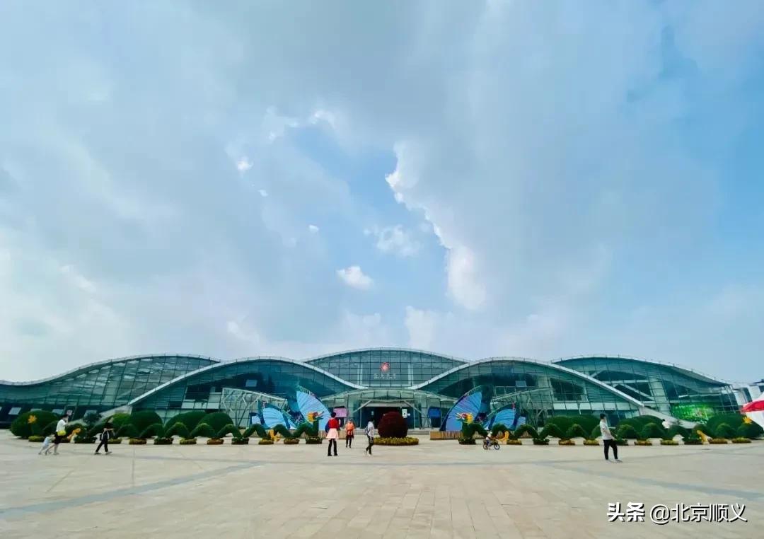 国庆节赏秋的好地方,北京国际鲜花港菊花展几月份最好