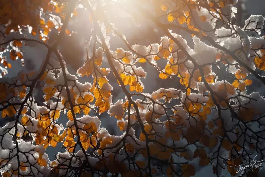 冰雪拍摄技巧和注意事项,冰天雪地雪景摄影技巧大全