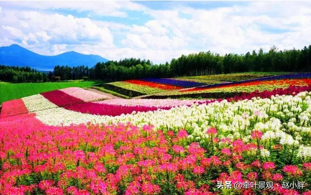 踏春寻美景,踏春赏花梯田漫步