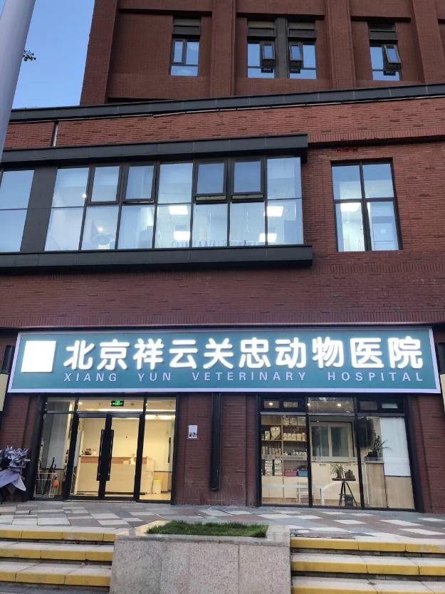 宠物兔生病了但没有医院怎么办,宠物兔感冒自愈要多久