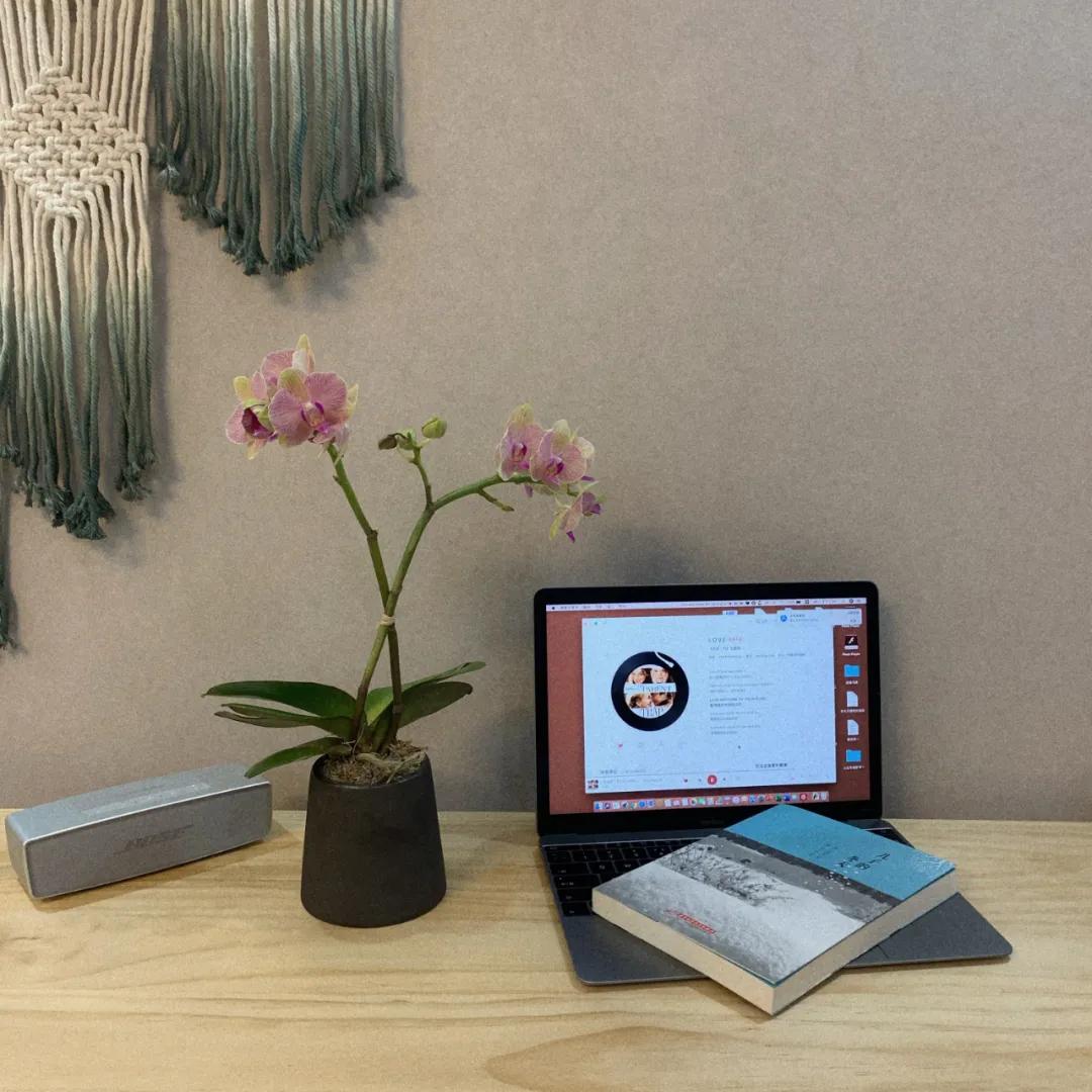 年中特价hm优衣库zara百元单品推荐,hmgapzara优衣库哪个质量好