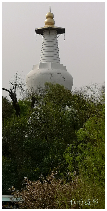 扬州夏日的瘦西湖风景,三月的扬州瘦西湖