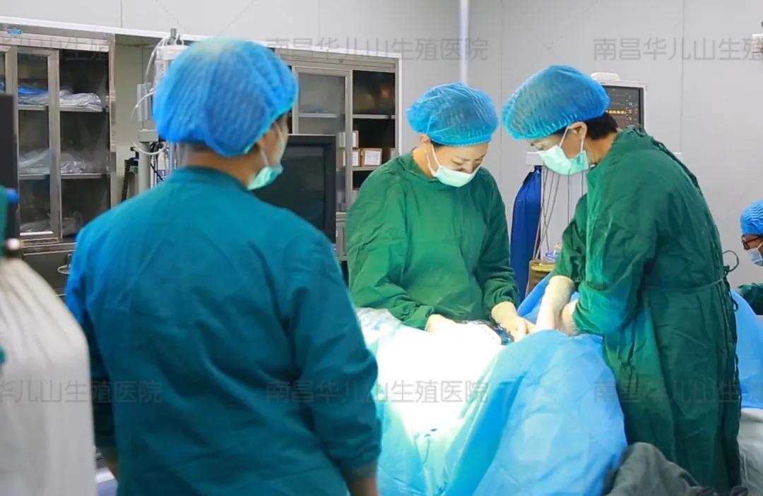 多囊两次促排失败了怎么办,多囊多次促排失败怎么办