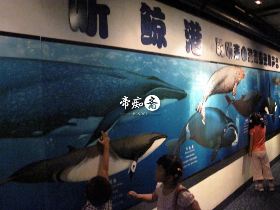 海底世界大比拼,海底世界大战