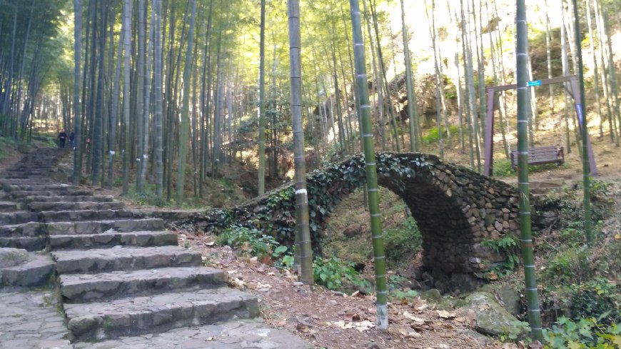 风景秀丽的宜兴竹海,漫步竹林呼吸大自然的清新