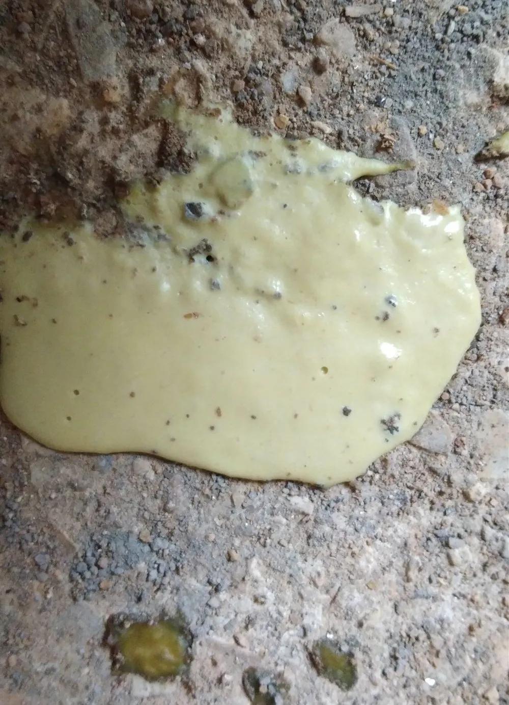 仔猪十日龄开始腹泻应该用什么药,新生仔猪三天喂什么球虫药