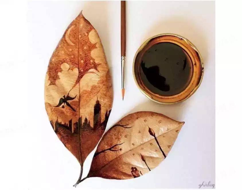 咖啡渣的妙用视频大全,咖啡渣的妙用护肤