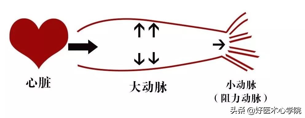 低血压不治疗会引起高血压,都说高血压可怕其实低血压更危险