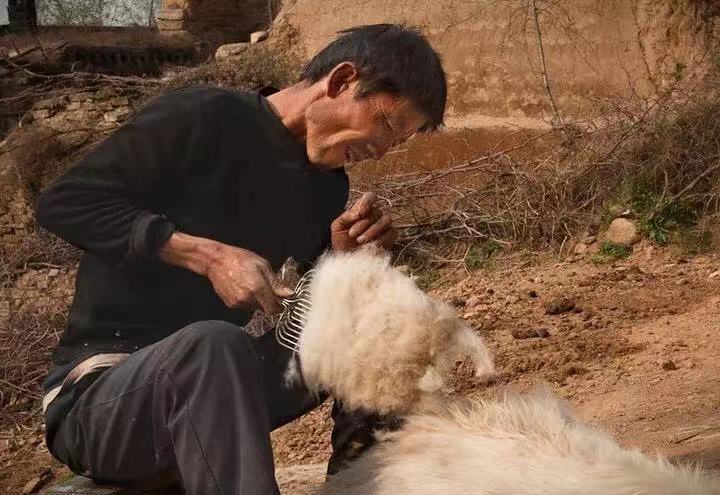 克什米尔羊毛跟羊绒的区别,100支高支羊毛和羊绒的区别