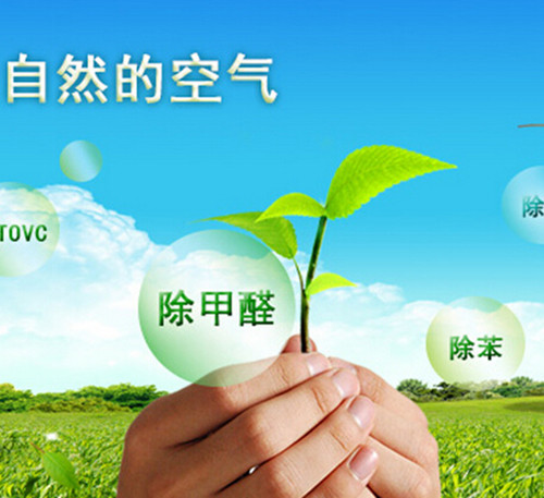 甲醛的危害有哪些如何清除甲醛,房子有甲醛怎么除甲醛最快