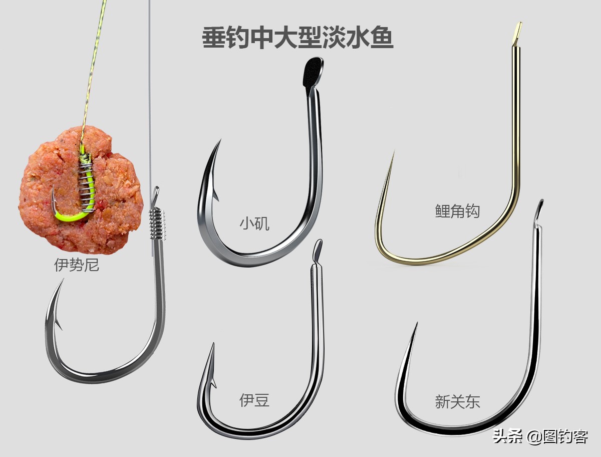新手钓鱼入门如何选择鱼钩,新手钓鱼如何选择鱼钩