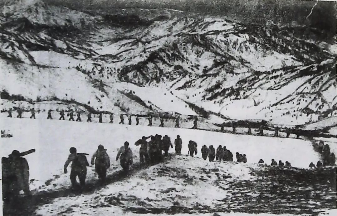 曹宠,曹保育教学随笔