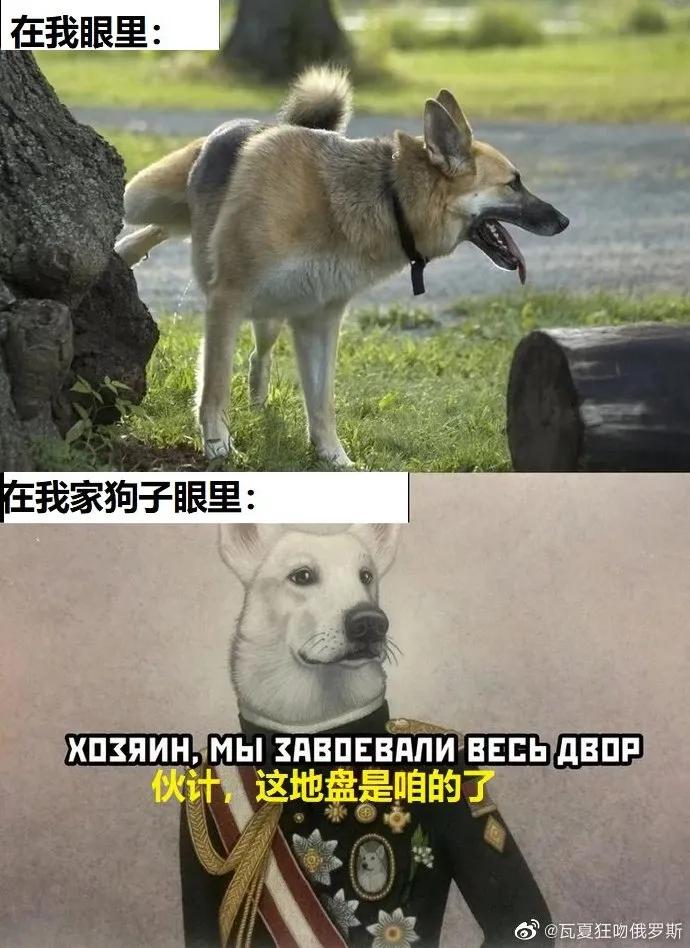 嘻咦嗷笑就完了NO.3