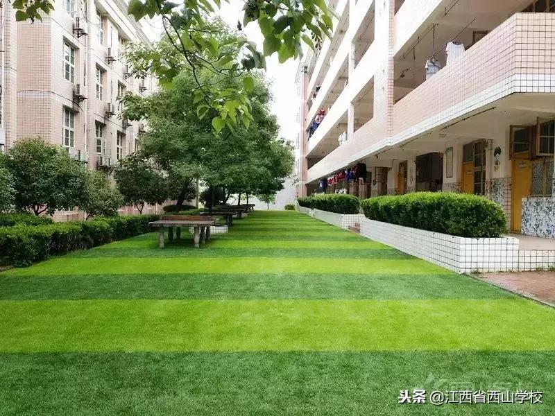 西山学子完整视频,西山学子回母校