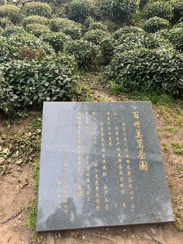 龙井村九溪十八涧徒步最佳路线图,九溪十八涧只有龙井村一个出口吗