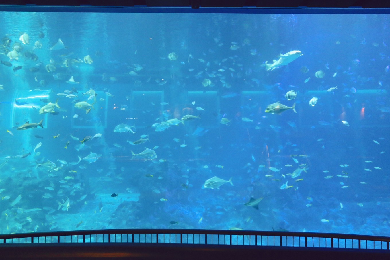 圣淘沙名胜世界攻略,请收下这份旅游攻略