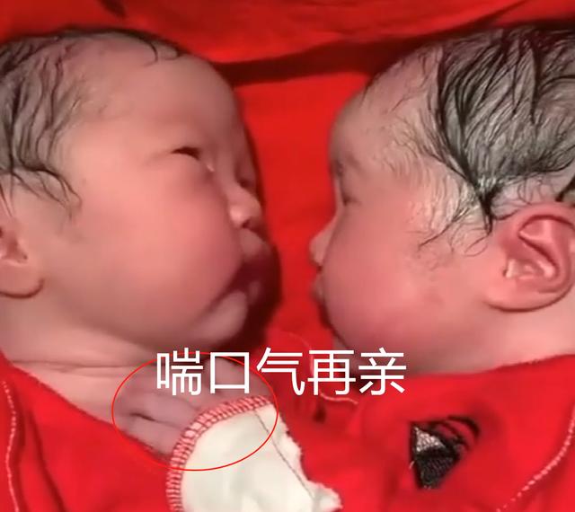 龙凤胎兄妹又抱又亲刚出生,龙凤胎兄妹出生相差一分钟