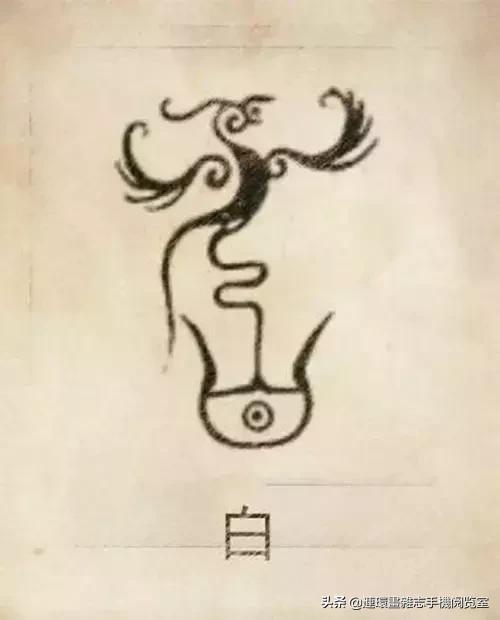 中国100大姓氏图腾大全,姓氏图腾大全史姓图腾是什么