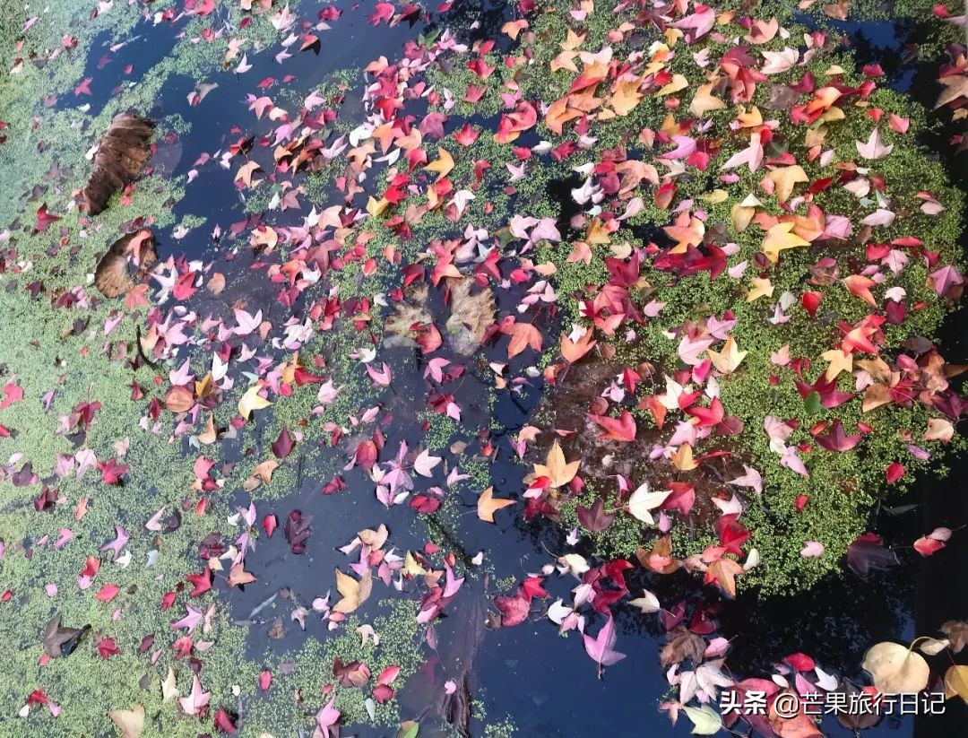 女孩子一个人去云南旅游三月份,一个女生去广州旅游