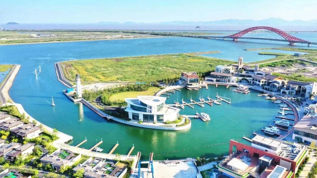 陈文令麦道夫最新信息 (陈文令对麦道夫的评价)