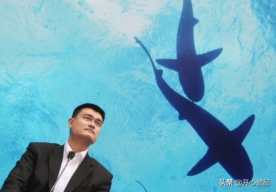 极限工作之捕鲨：年捕杀2亿条！虽说给了份子钱，鱼翅能不吃吗？