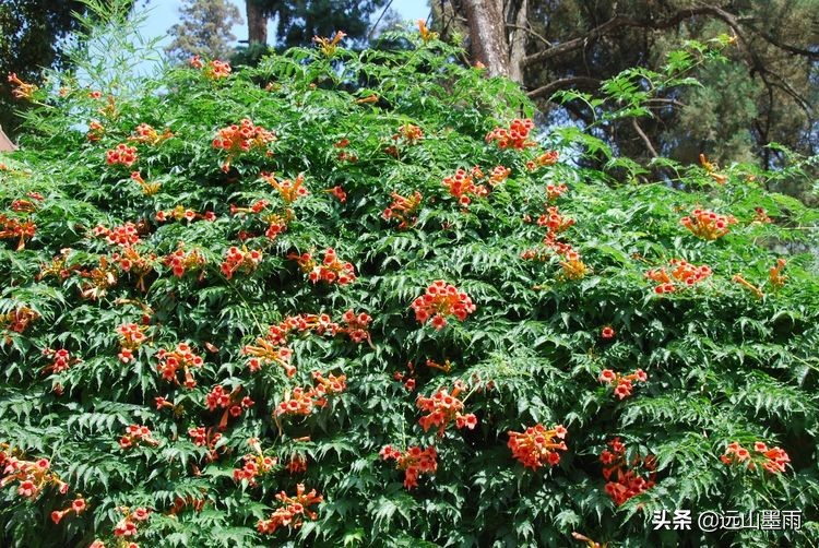 植物科学活动,第二十届公众科学日合肥