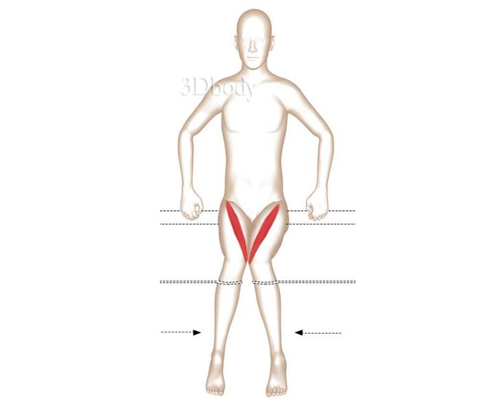 瑜伽髋部的结构,瑜伽呼吸缝合术