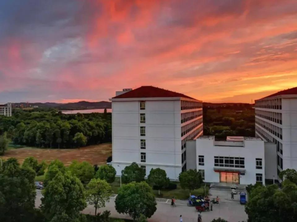 安徽文达学院信息工程学院官网,安徽33所高校预估分数线