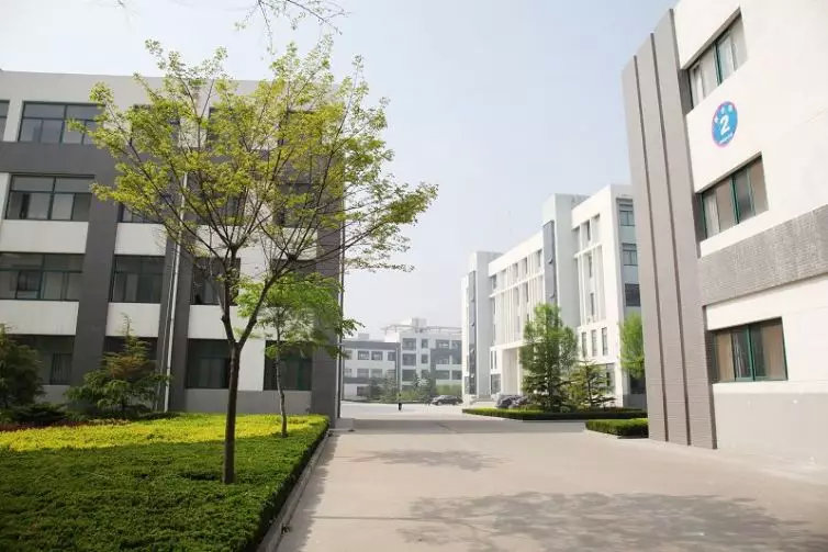 择校篇|法硕考研备考锦囊之青岛大学