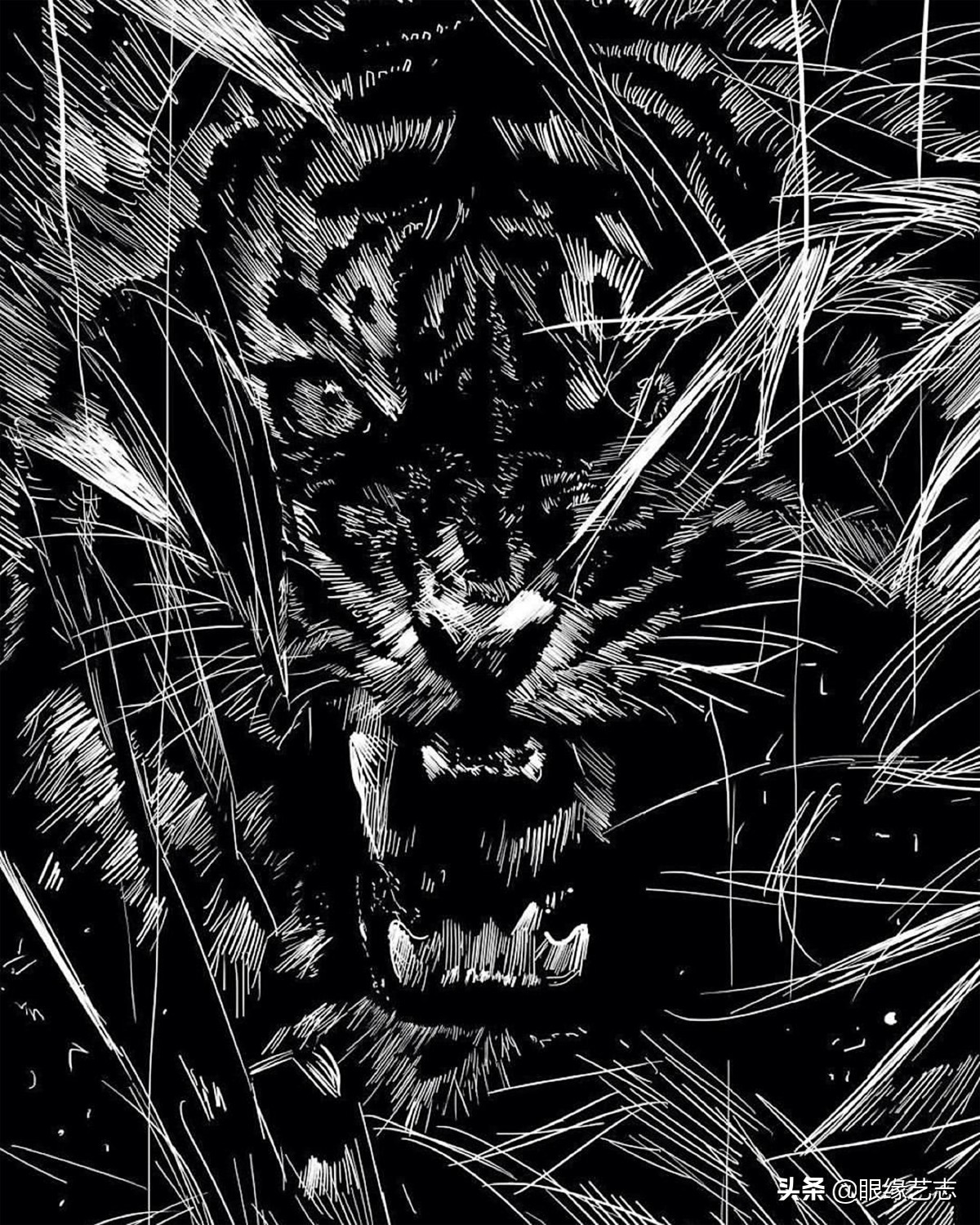 二维宇宙的浓情挣扎：另类的音乐封面插画，穿行暗夜的吟游诗人