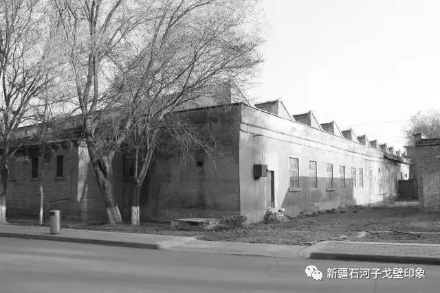 石河子八一棉纺厂的发展史,石河子八一棉纺厂