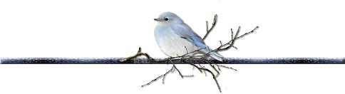 刷剧看什么好,刷剧看什么