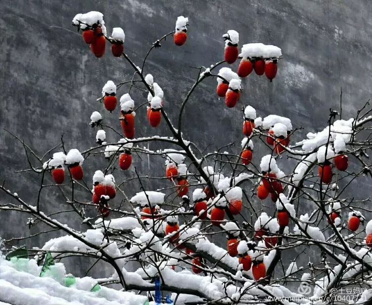 惊艳的一处桃源,乐清秘境原始森林