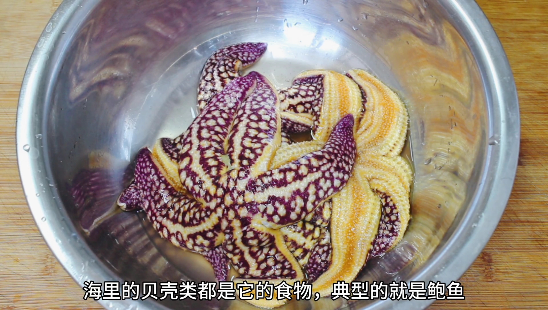 海星可以吃的是什么,海星都可以吃么