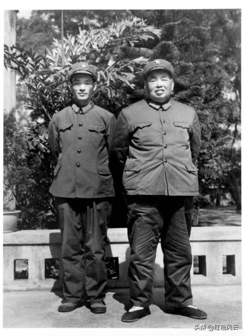 85年*小平邓**来南京看望*世友许**，*世友许**快步相迎，认真敬了一个军礼