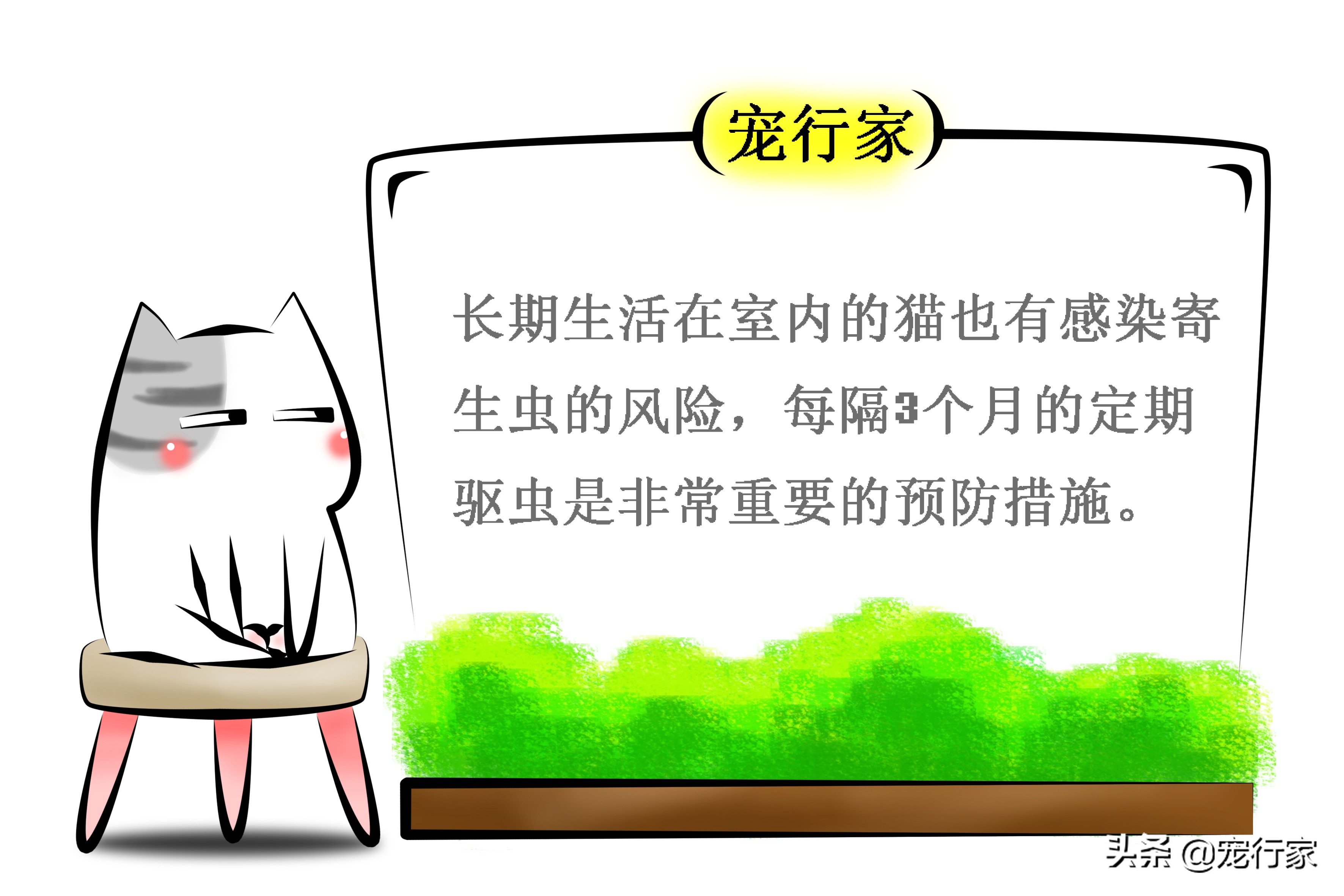 为什么猫咪抓到苍蝇就把它吃掉,猫咪爱吃苍蝇是要吃什么驱虫药