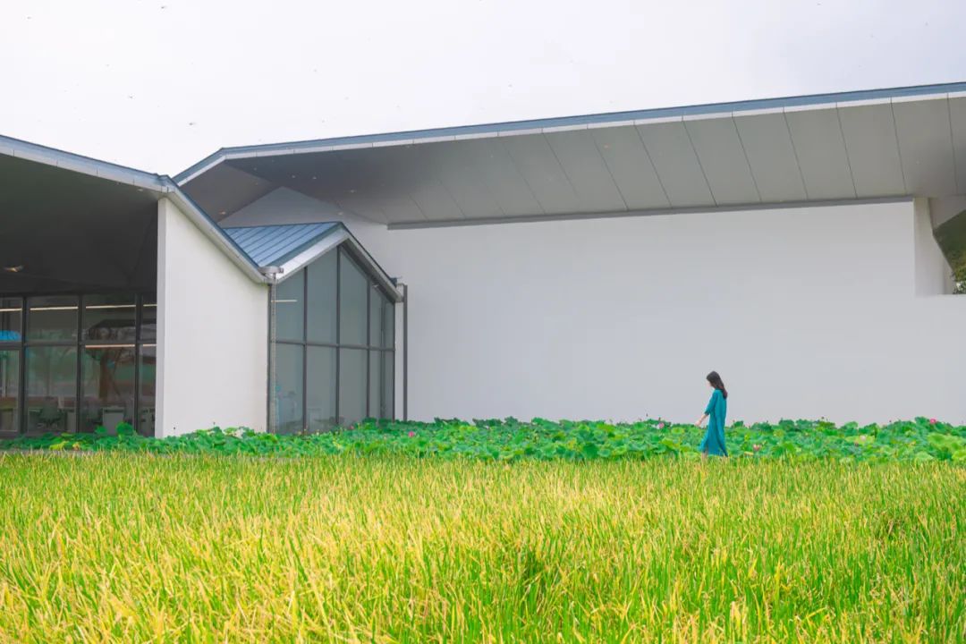 蟠龙天地实景,蟠龙天地新天地