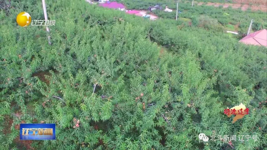 壮丽70年奋斗新时代现场,辽宁省丹东市宣传片大美丹东