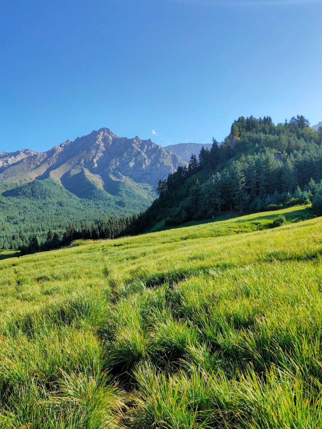 甘肃张掖祁连山风光,甘肃张掖十大美景