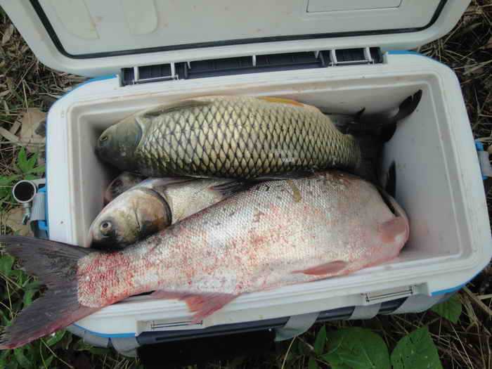 钓鱼的乐趣诗词,钓鱼之乐趣