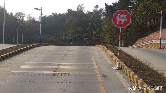 为什么开过车的人考驾照那么难,考驾照科目2和科目3哪个难